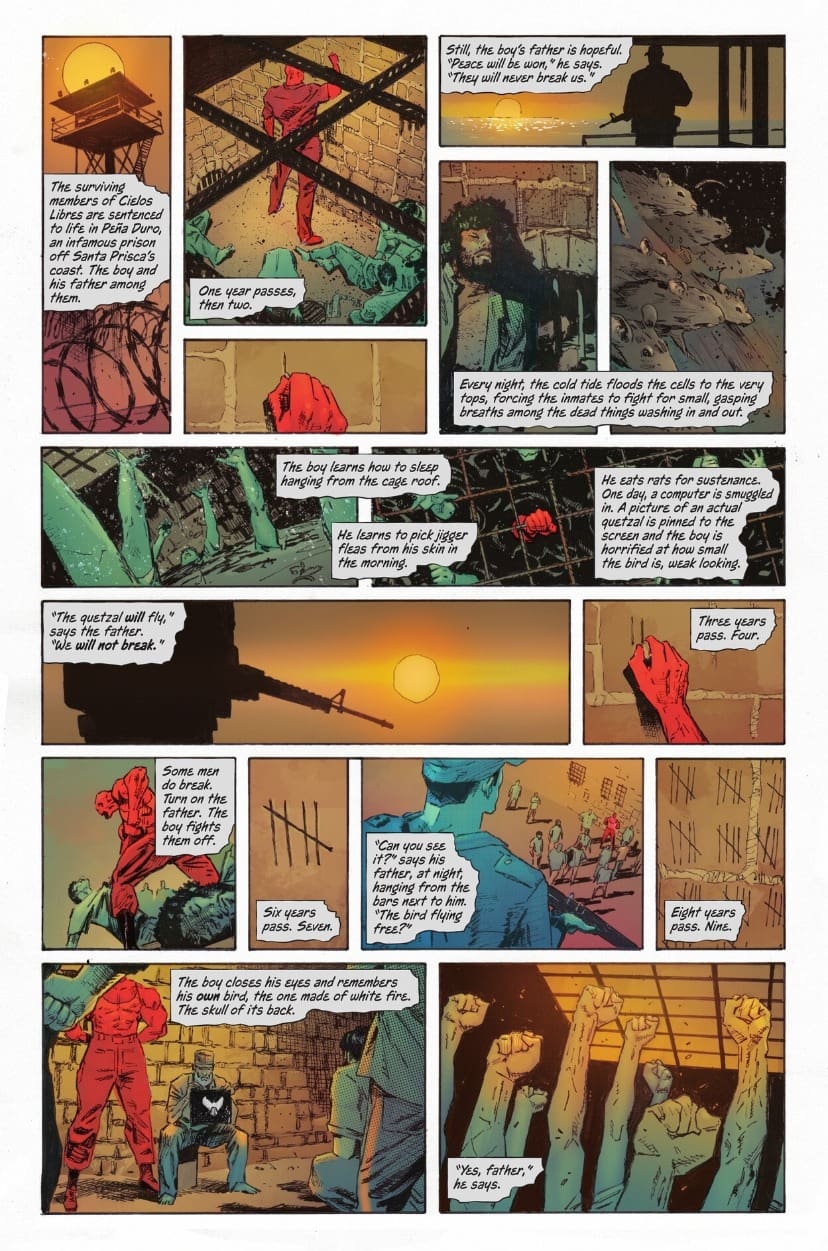 Absolute Batman 11 Review